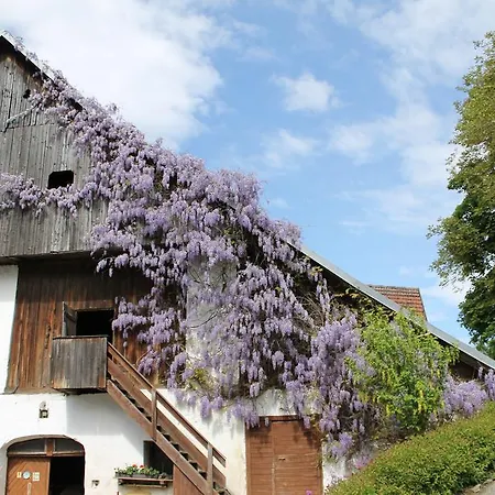 Vendégház Neuhof 3*