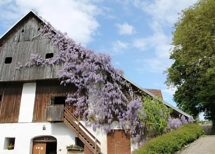 Vendégház Neuhof 3*